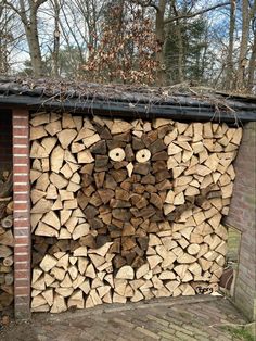 an owl made out of firewood in front of a building