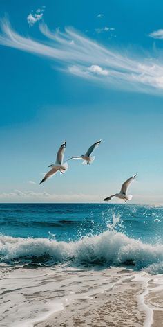 three seagulls flying over the ocean with waves crashing on the beach and blue sky