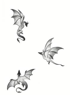 three flying dragon tattoos on the back of their bodies and wings are drawn in black ink