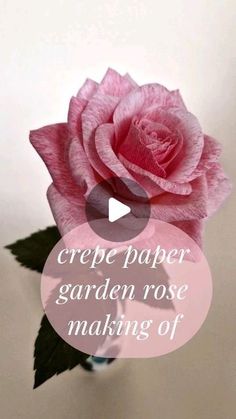 a pink rose in a vase with the words crepe paper garden rose making of