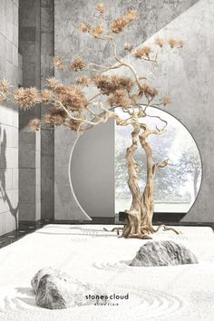 a bonsai tree sitting in front of a round mirror on the floor next to rocks