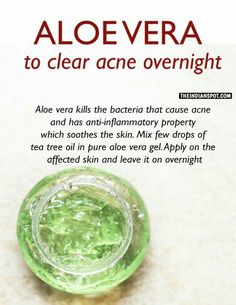 Clear Acne Overnight, Aloe Vera Skin, Pure Aloe Vera Gel, Aloe Vera Skin Care, Skin Care Routine For 20s, Acne Overnight, Pure Aloe Vera, Natural Acne, Clear Skin Tips