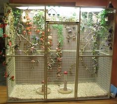 a caged in area with flowers and plants on the wall, inside which is also a bird feeder