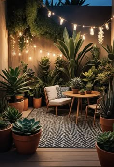 an outdoor patio with potted plants and lights