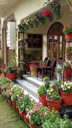 many potted plants are on the front porch