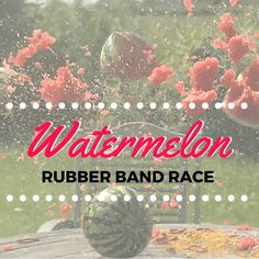 watermelon rubber band race with the words, watermelon rubber band race