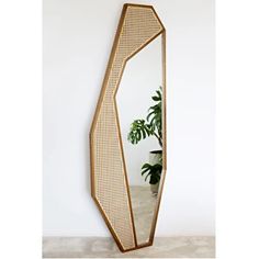 a mirror that is next to a plant