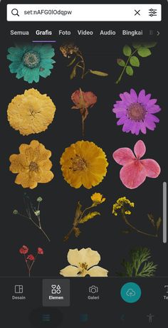 an iphone screen with flowers on it and the text, flower pictures are displayed in different colors