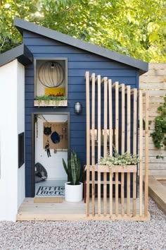 a small blue shed with an open door and shelves on the outside, next to a potted plant