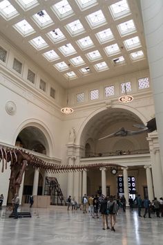 a museum filled with lots of people standing around and looking at an animal skeleton hanging from the ceiling