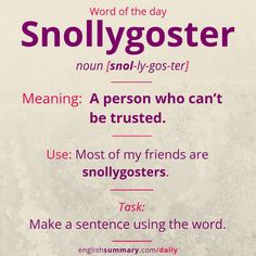 a poster with words that say, word of the day snollygoster