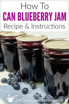 blueberry jam recipe and instructions