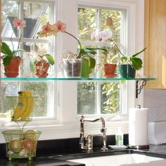 the kitchen sink is full of flowers and plants in pots on the window sill