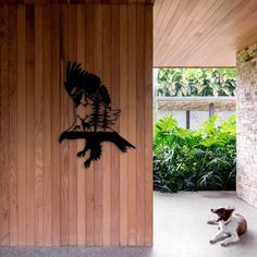 a cat sitting in front of a wooden wall with a bird on it's face