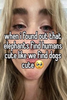 a woman with long blonde hair and an emotication on her face that says, when i found out that elephants find humans cute like we find dogs cute