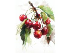 a painting of cherries on a branch with leaves