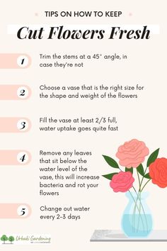 flowers in a vase with instructions for how to keep them fresh and dry on the table