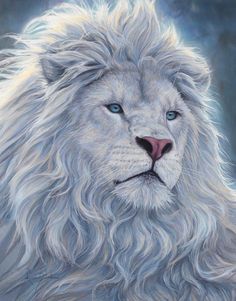 a white lion with blue eyes is featured in this black and white photo by the artist