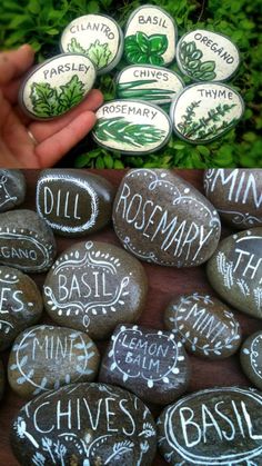 some rocks that have writing on them