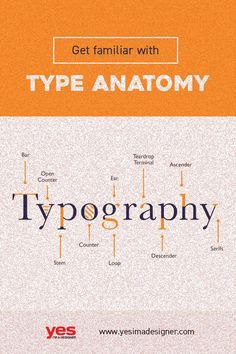 Fonts Design Anatomy Of Type Poster, Typography Theory, Bilateral Typography System, Typeface Anatomy Poster, Formal Invitations