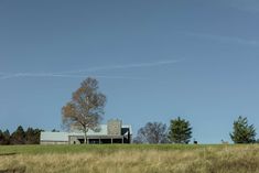 a large house sitting on top of a lush green field next to a tall tree