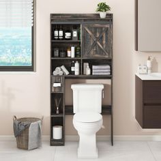 a white toilet sitting next to a wooden shelf