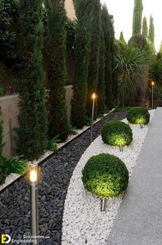 an outdoor garden with lots of plants and lights