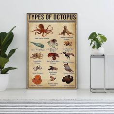 an octopus poster on the wall next to a potted plant and some other items