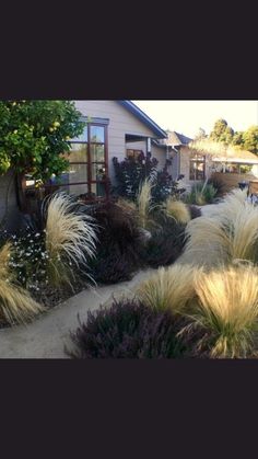 a house with lots of plants in front of it