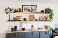 a living room filled with furniture and lots of plants on top of wooden shelfs