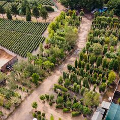 an aerial view of a farm with lots of trees