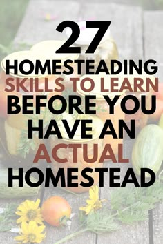 Click through for 27 homesteading skills you can learn as a total beginner.. BEFOR you have an actual homestead. Self-sufficient skills to learn while you're homestead dreaming! Self Sufficient Homestead, Happy Homemaking, Homesteading Diy, Homestead Farm, Homestead Gardens, Homesteading Skills, Homestead Living, Urban Homesteading, Full Disclosure