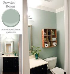 the bathroom is painted in blue and has black cabinets, white toilet, and shelving unit