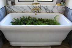 a bathtub filled with plants in a bathroom