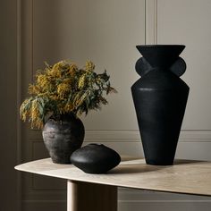 two black vases sitting on top of a wooden table next to a potted plant