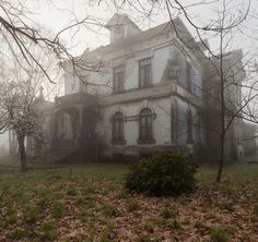 a large white house sitting in the middle of a forest filled with trees and grass