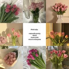 pink tulips are arranged in vases on the table