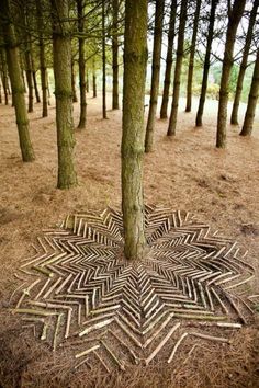 a tree in the middle of a forest with an intricate design on it's trunk