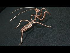 a close up of a small insect on a black surface