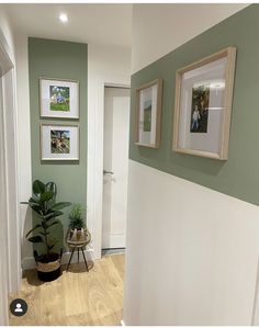 two framed pictures hang on the wall next to a potted plant in a hallway