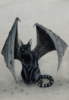 a black cat sitting next to a bat