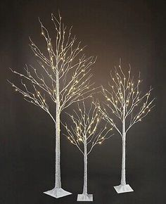 three white trees with lights on them