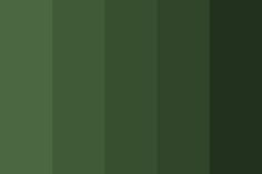 an image of a dark green color scheme