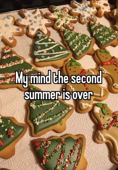 some cookies that have been decorated with icing on them and the words my mind the second summer is over