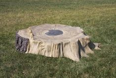 a tree stump that has been cut down in the grass with a fire pit on top