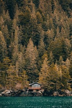 a cabin on the shore of a lake surrounded by tall pine trees and evergreens