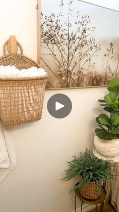 a basket hanging on the wall next to a plant and towel rack in a bathroom