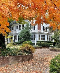 a large white house surrounded by trees and leaves