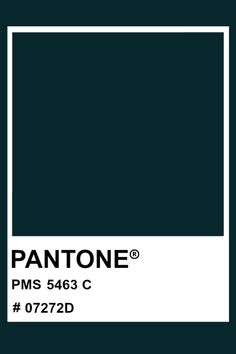 pantone's black and white color scheme for the pantone company, which has been