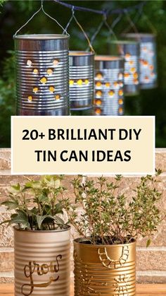 some tin cans with plants in them and the words, 20 brilliant diy tin can ideas